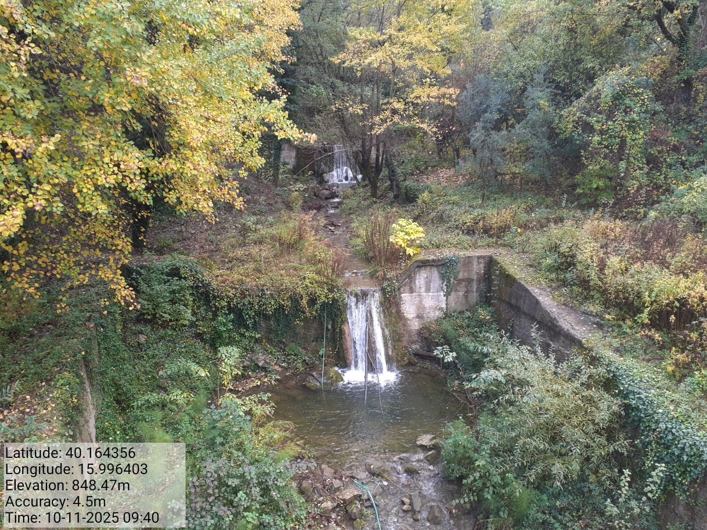 Galleria Fotografica Immagine