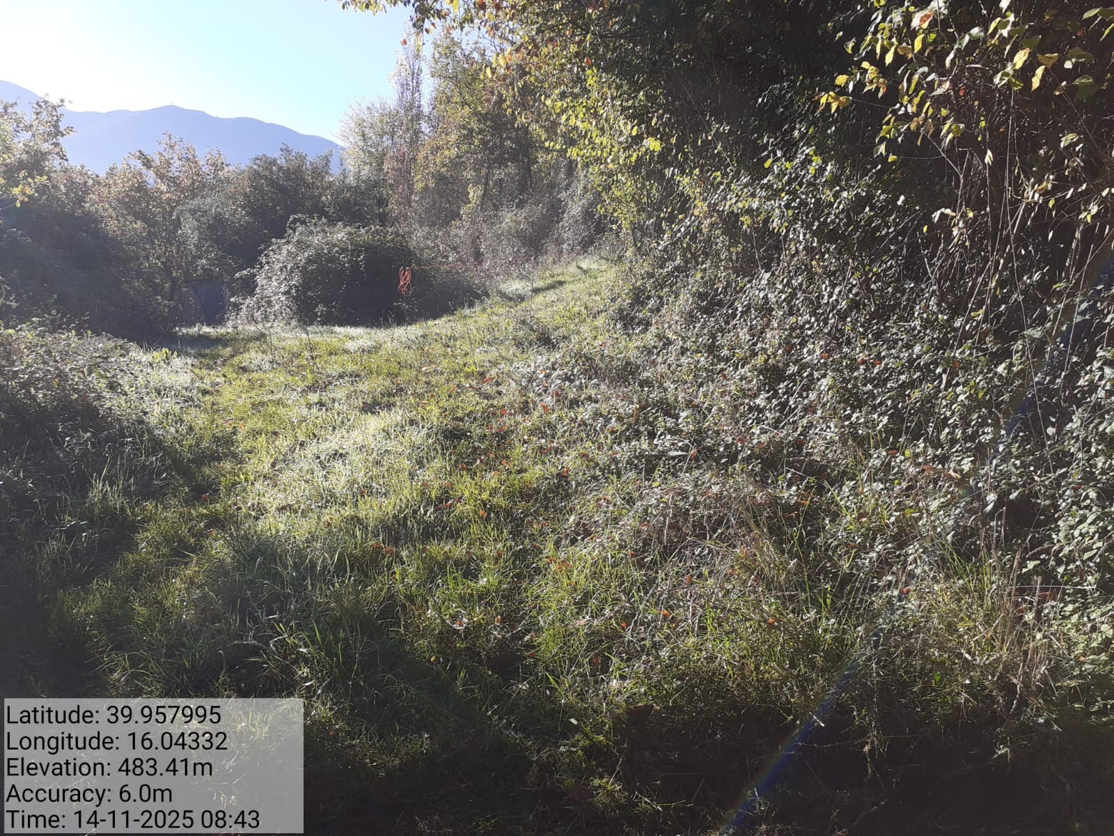 Galleria Fotografica Immagine