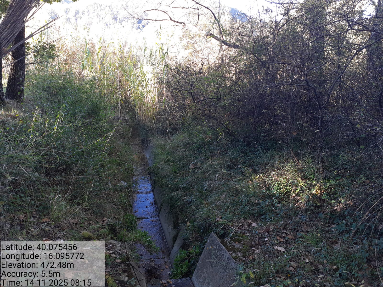 Galleria Fotografica Immagine