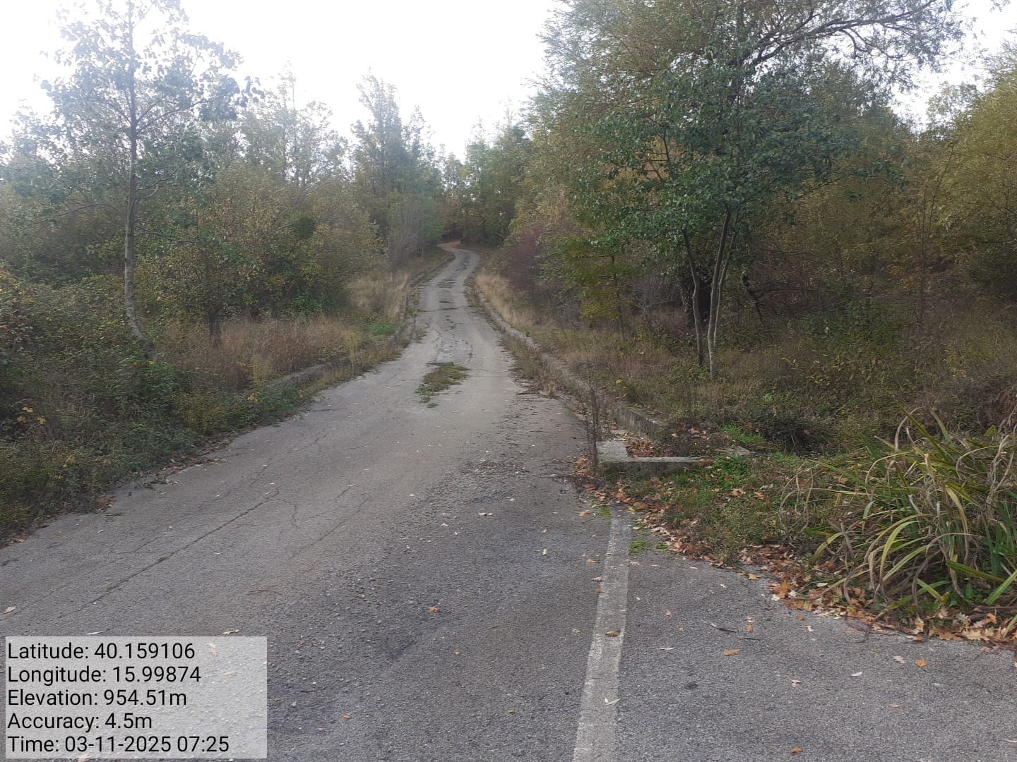 Galleria Fotografica Immagine