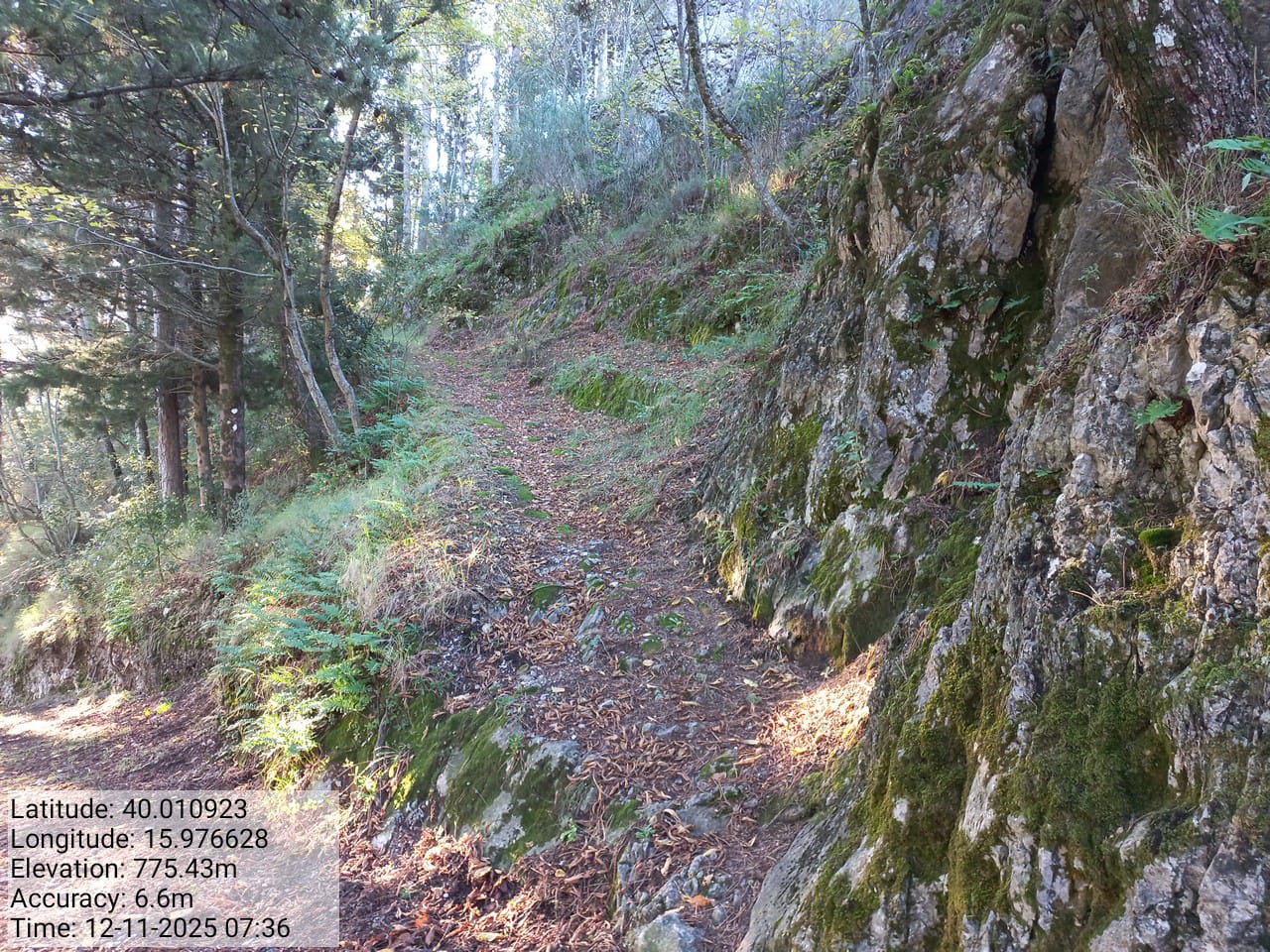 Galleria Fotografica Immagine