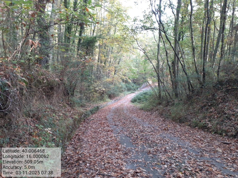 Galleria Fotografica Immagine