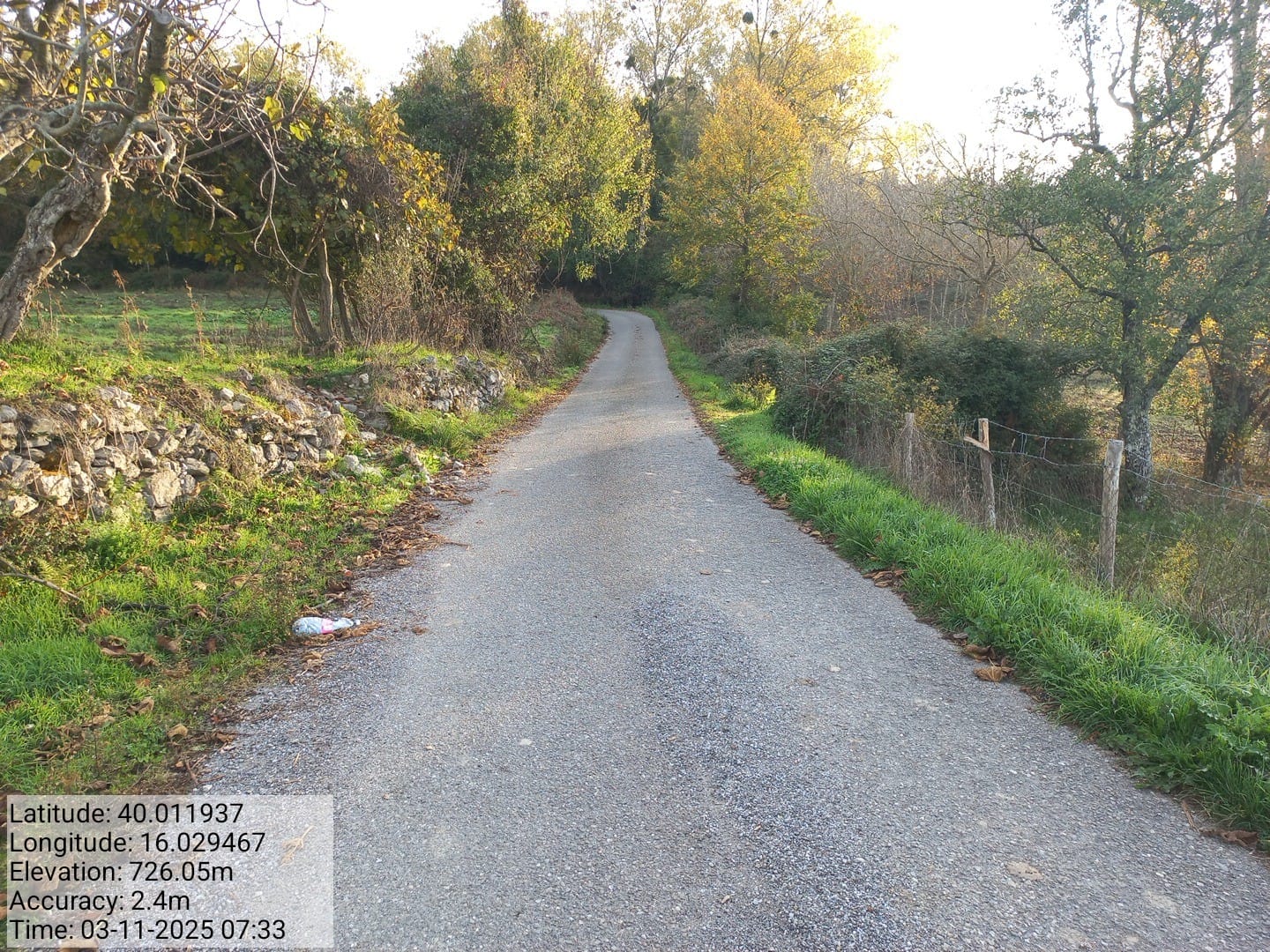 Galleria Fotografica Immagine