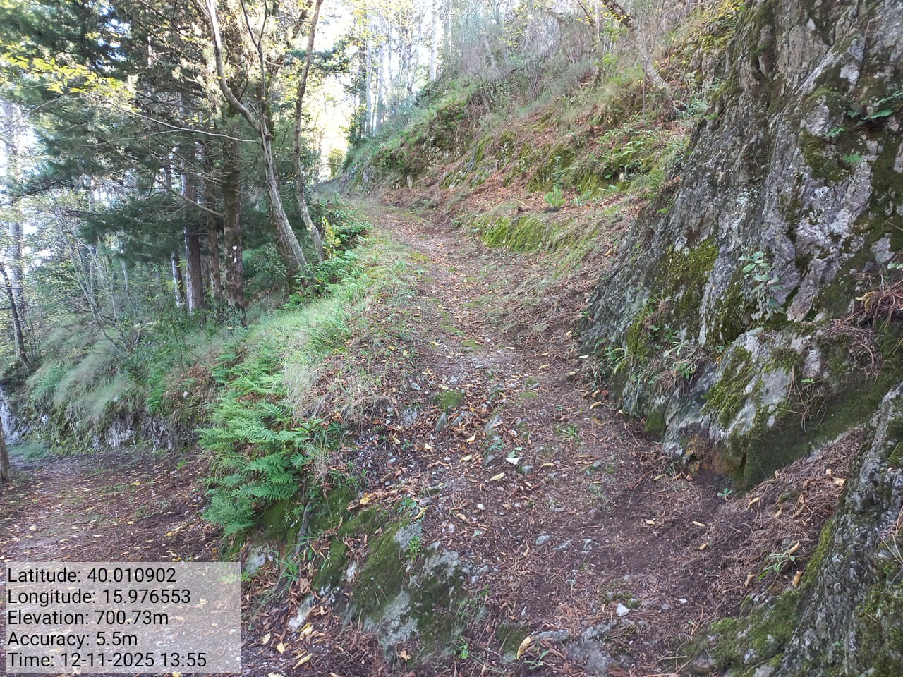 Galleria Fotografica Immagine