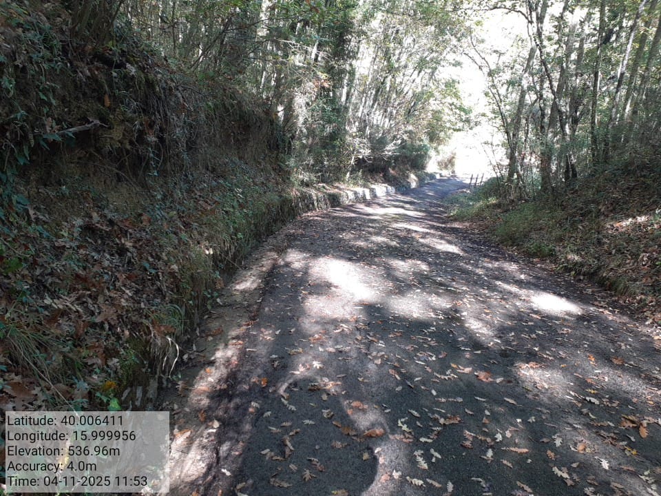 Galleria Fotografica Immagine