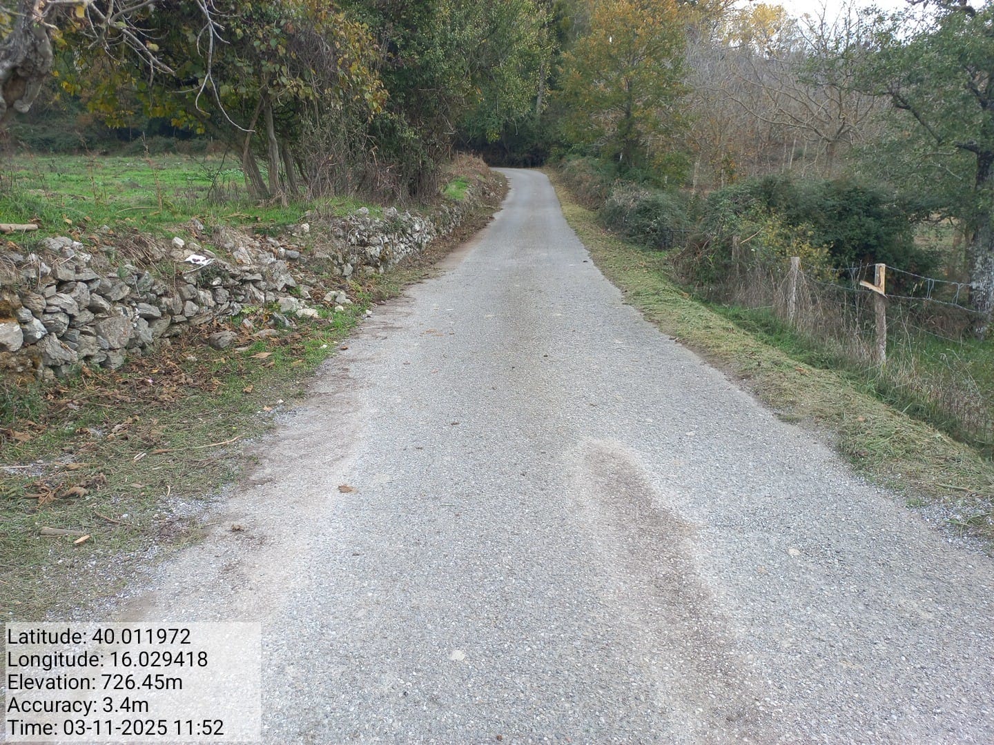 Galleria Fotografica Immagine