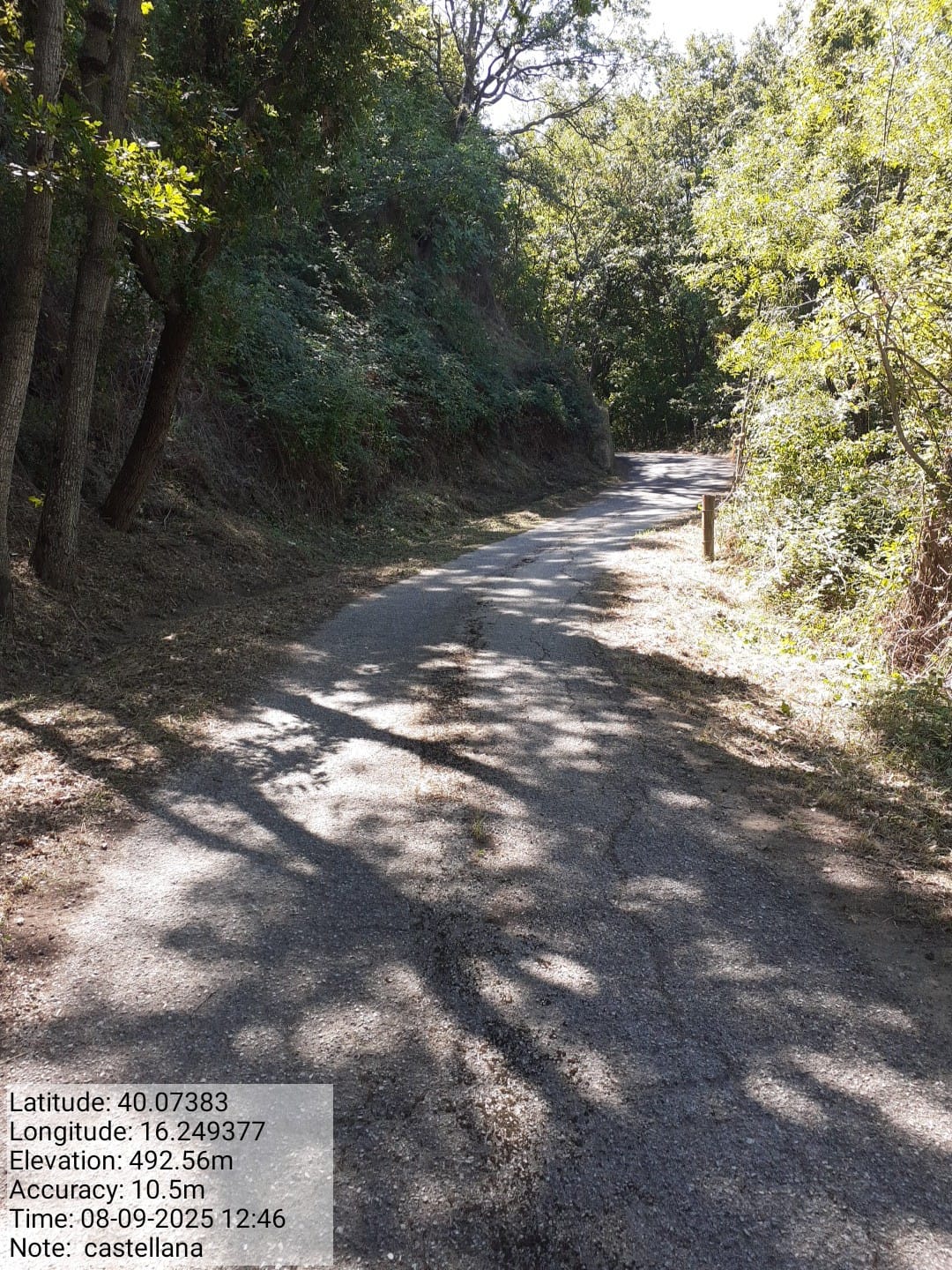 Galleria Fotografica Immagine