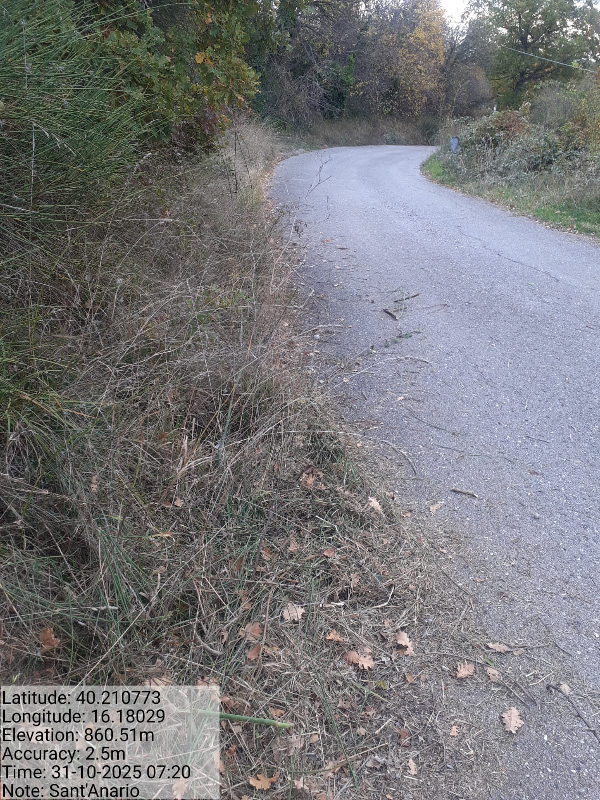 Galleria Fotografica Immagine