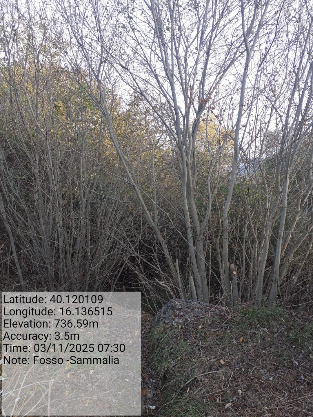 Galleria Fotografica Immagine