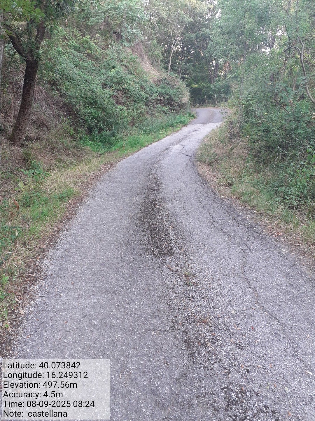 Galleria Fotografica Immagine