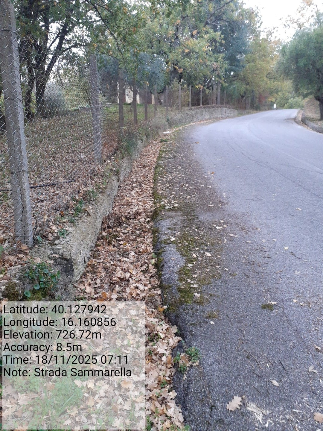 Galleria Fotografica Immagine