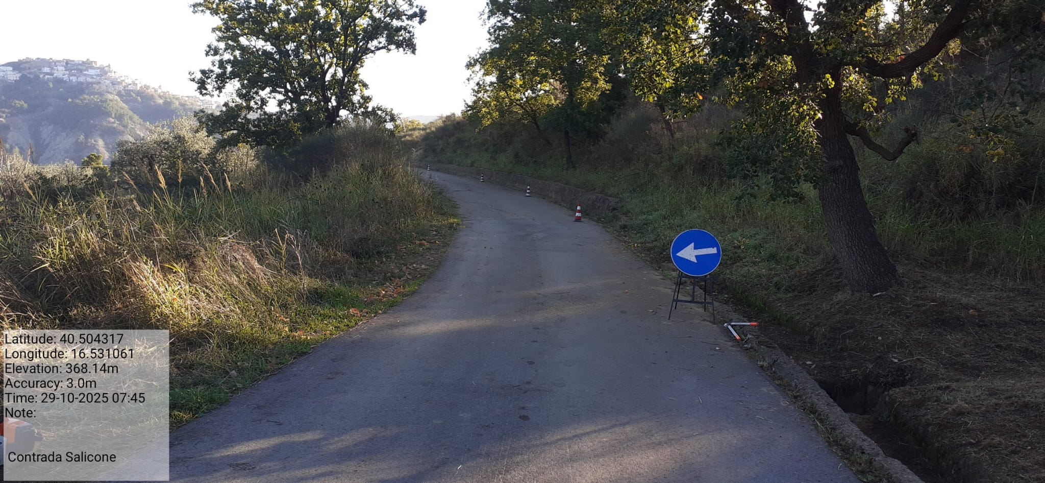 Galleria Fotografica Immagine