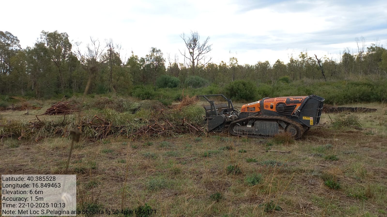 Galleria Fotografica Immagine