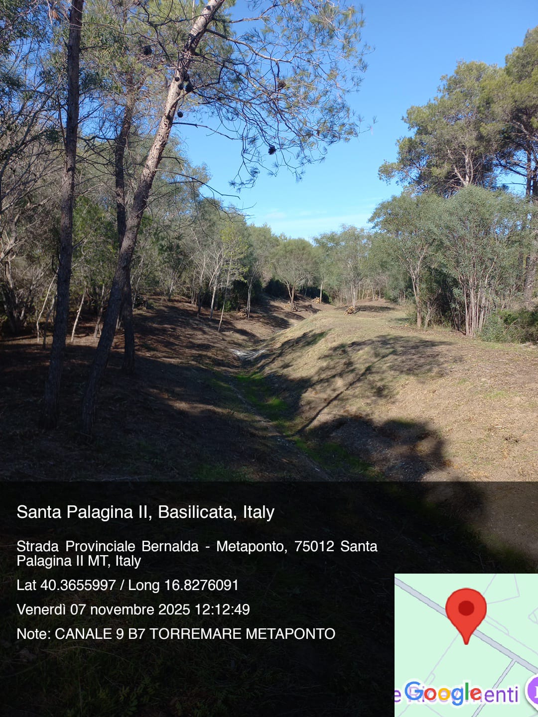 Galleria Fotografica Immagine