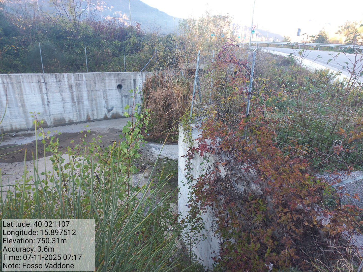 Galleria Fotografica Immagine