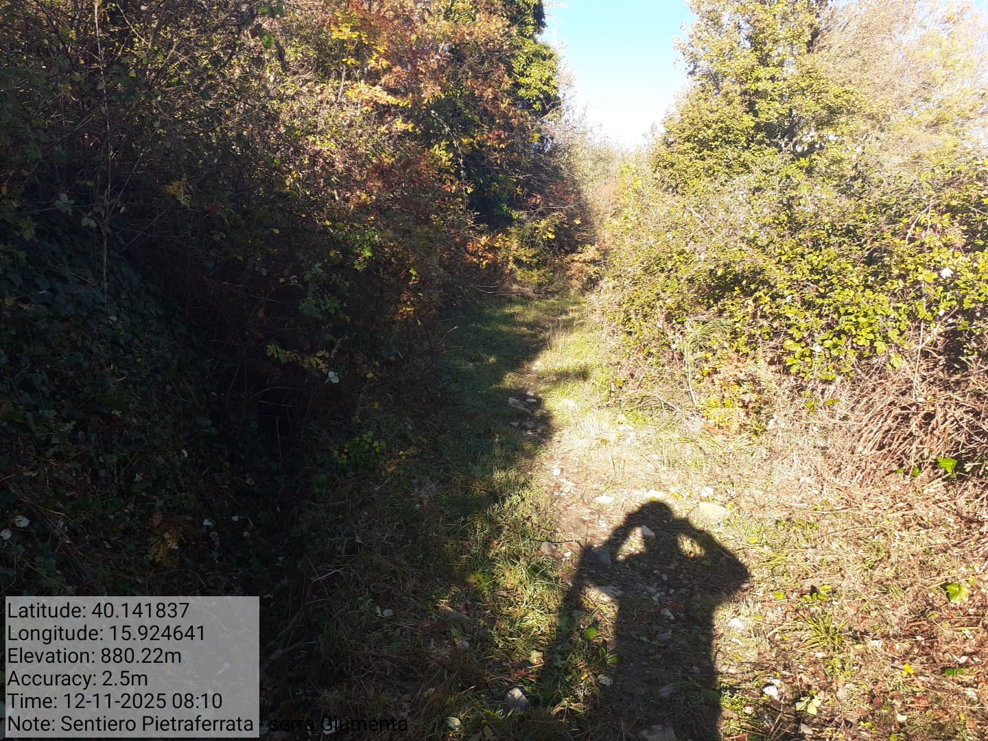 Galleria Fotografica Immagine