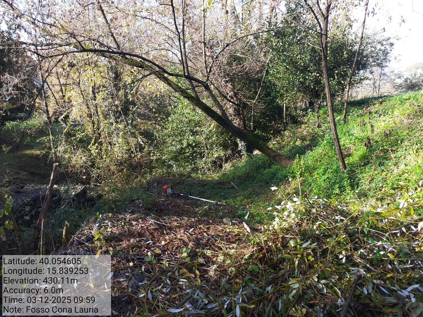 Galleria Fotografica Immagine