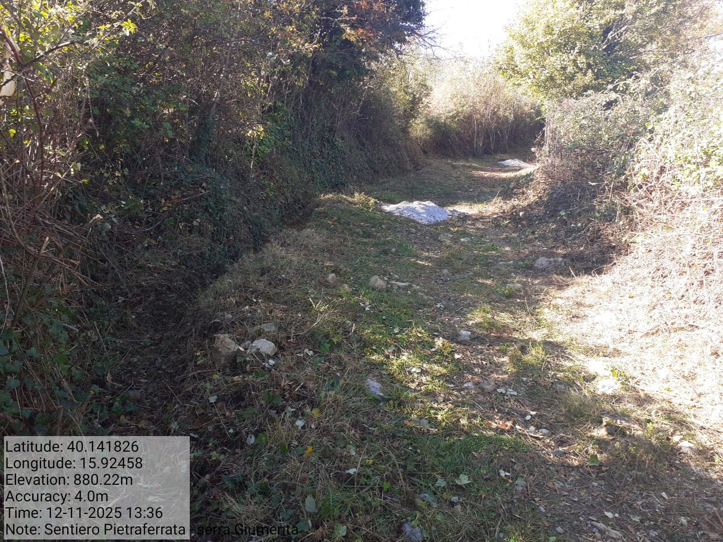 Galleria Fotografica Immagine