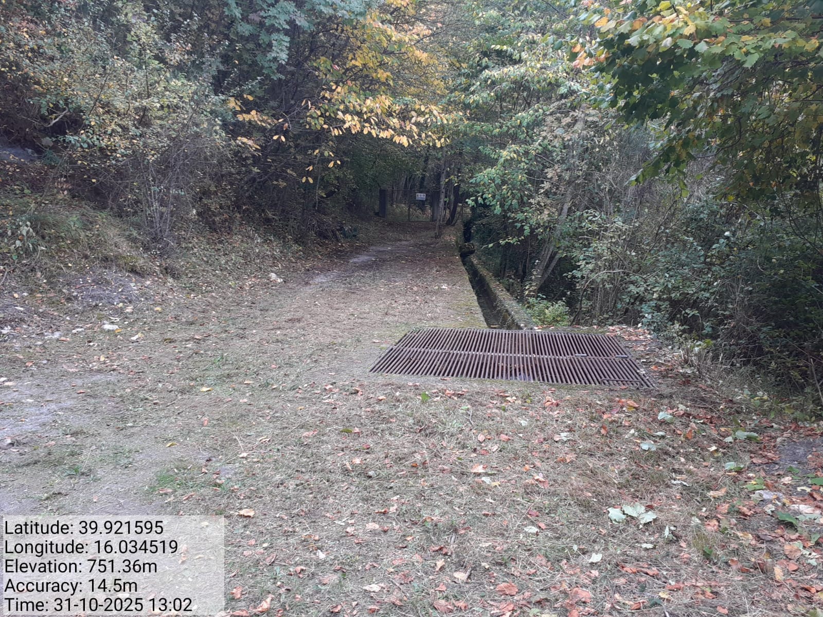 Galleria Fotografica Immagine