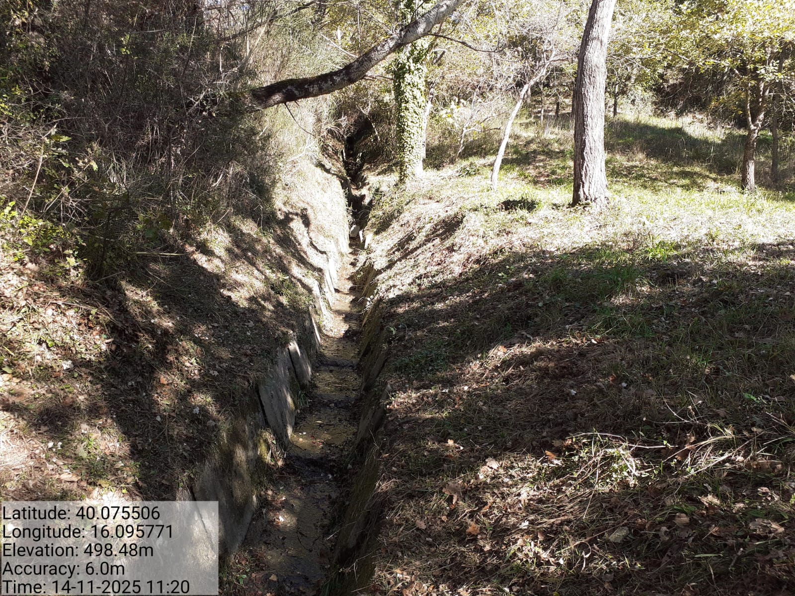 Galleria Fotografica Immagine