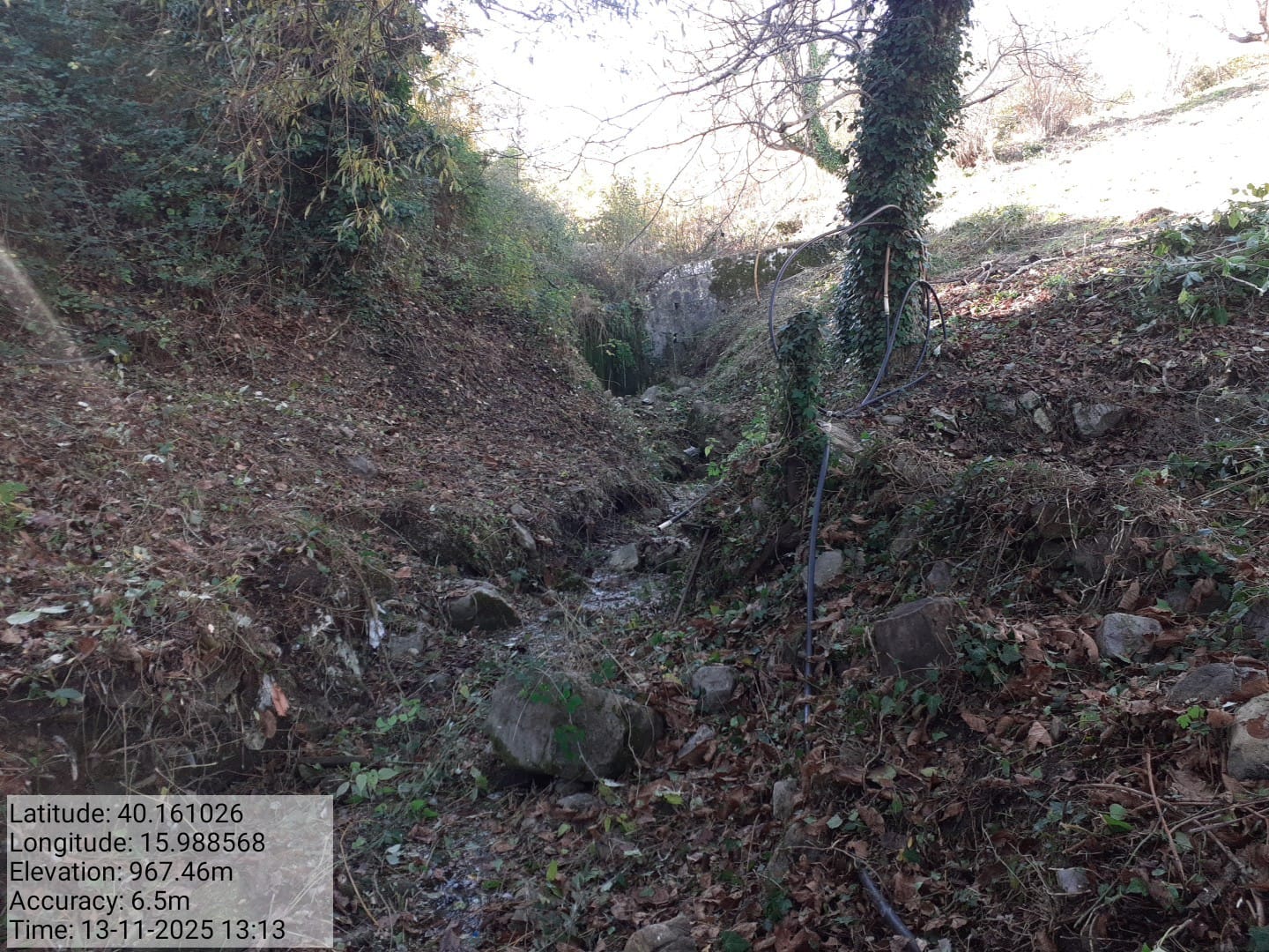 Galleria Fotografica Immagine