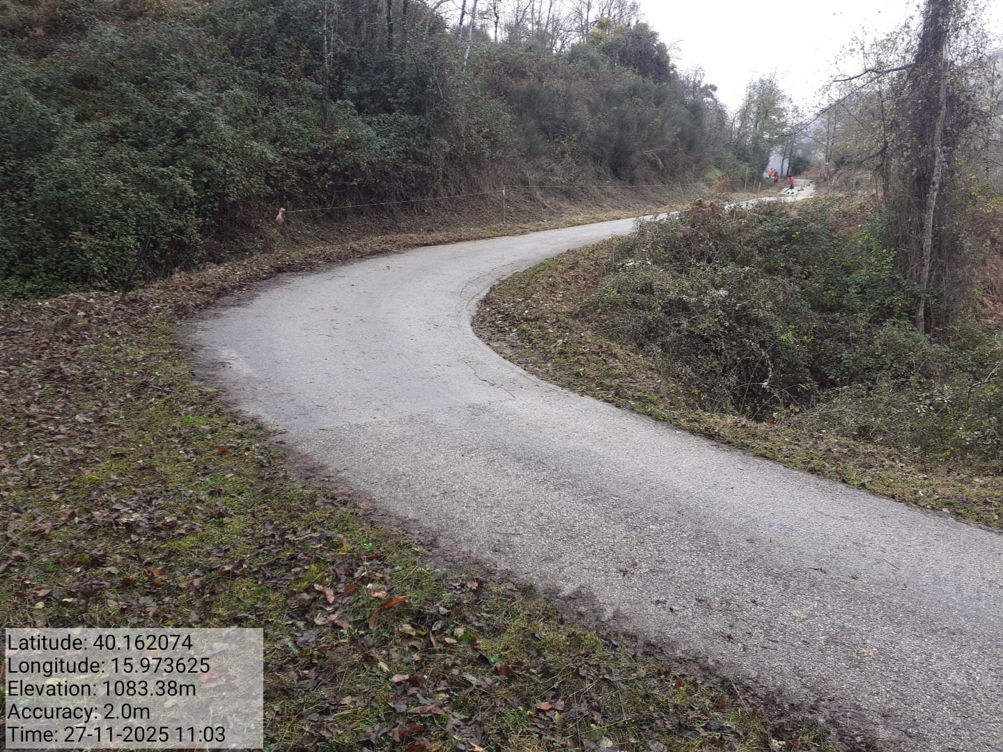 Galleria Fotografica Immagine