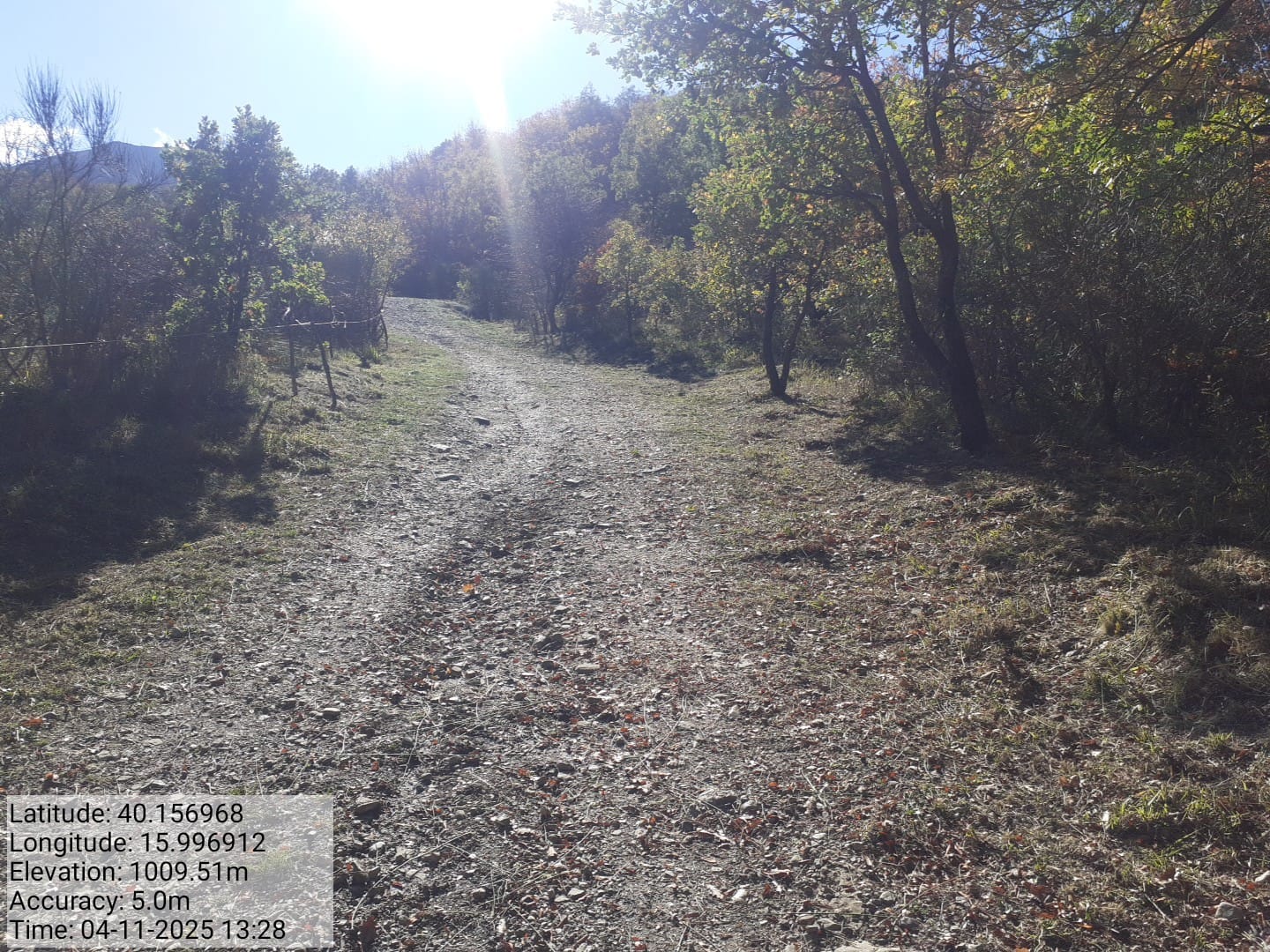 Galleria Fotografica Immagine