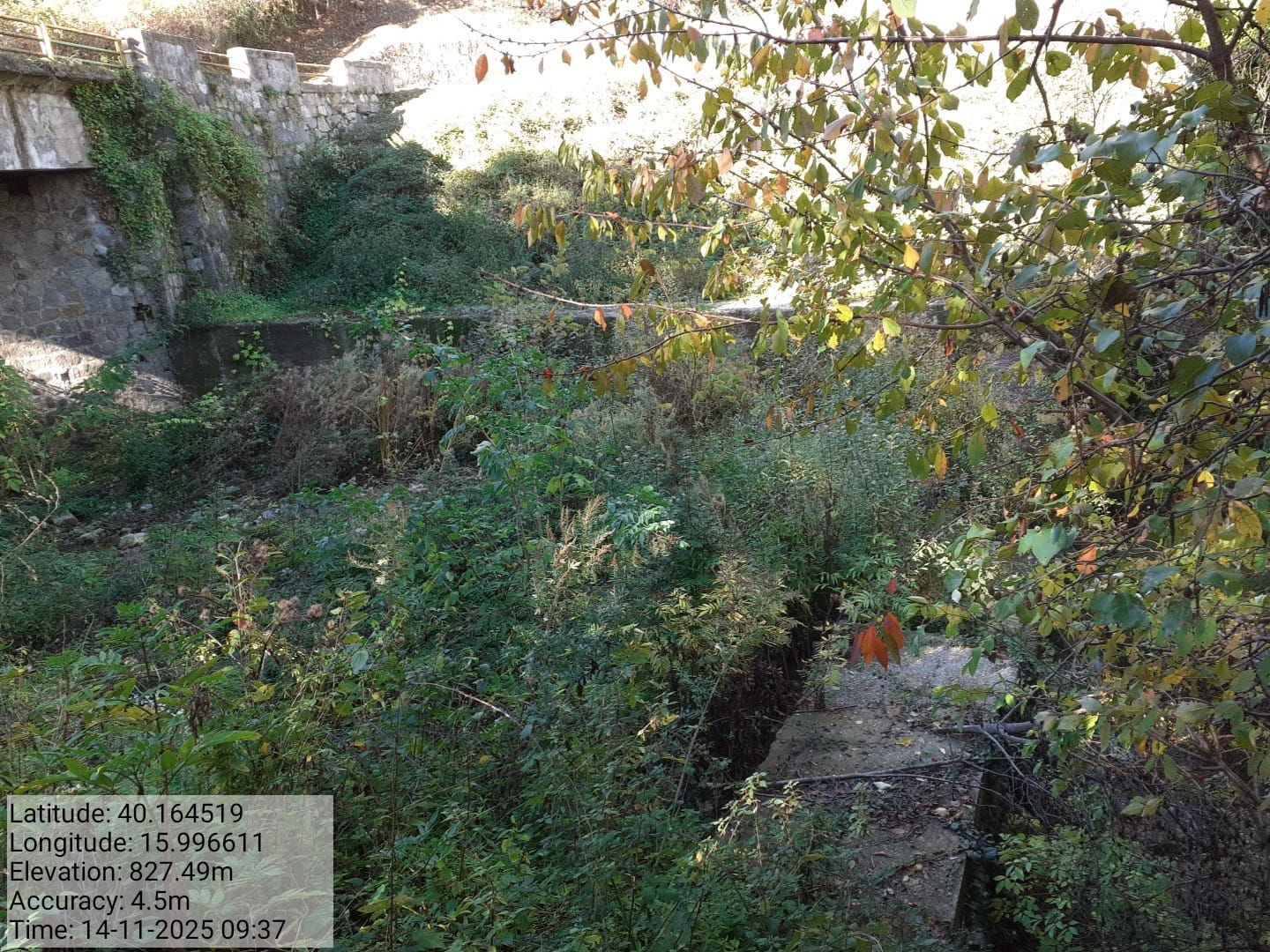 Galleria Fotografica Immagine