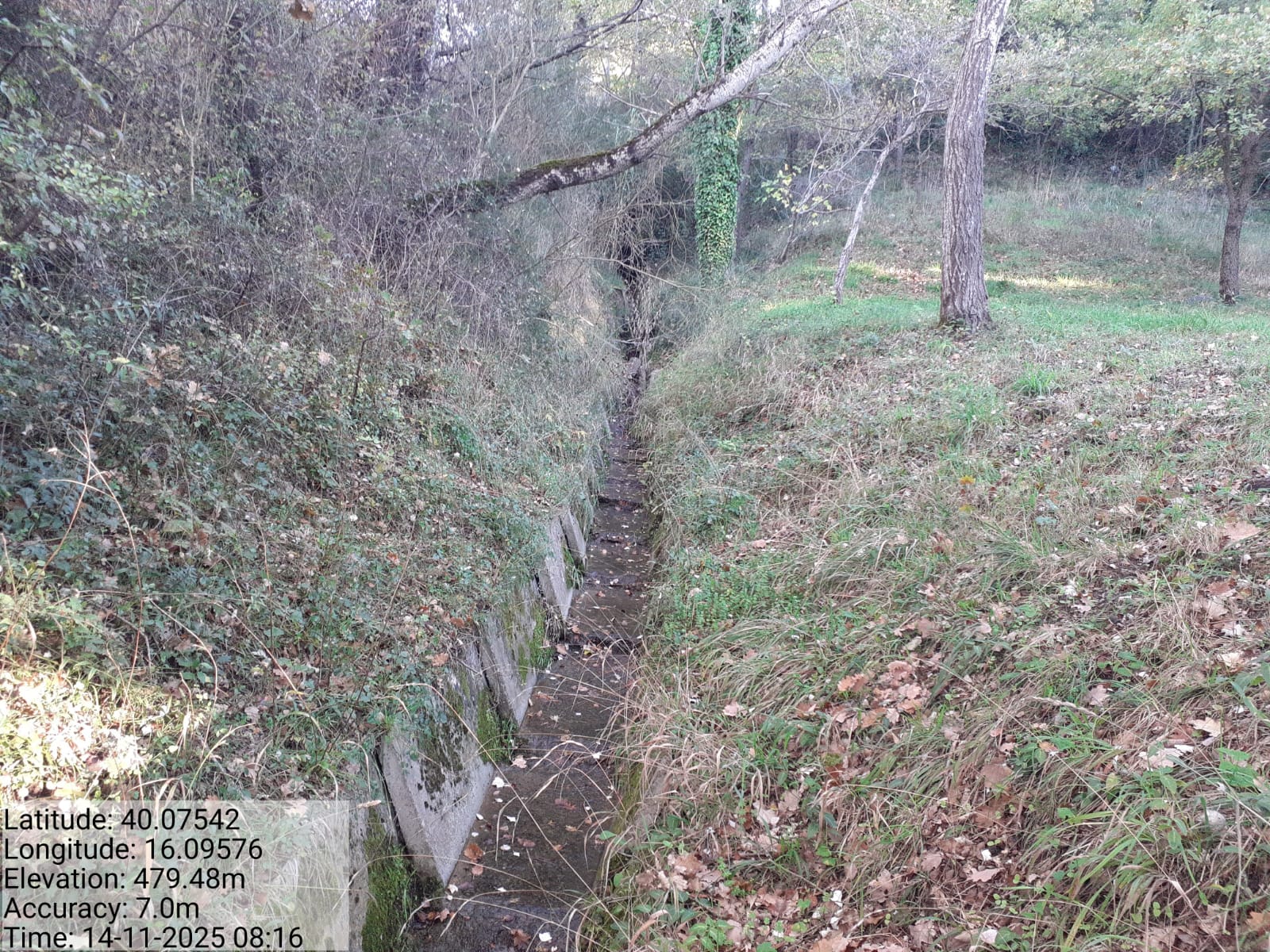 Galleria Fotografica Immagine