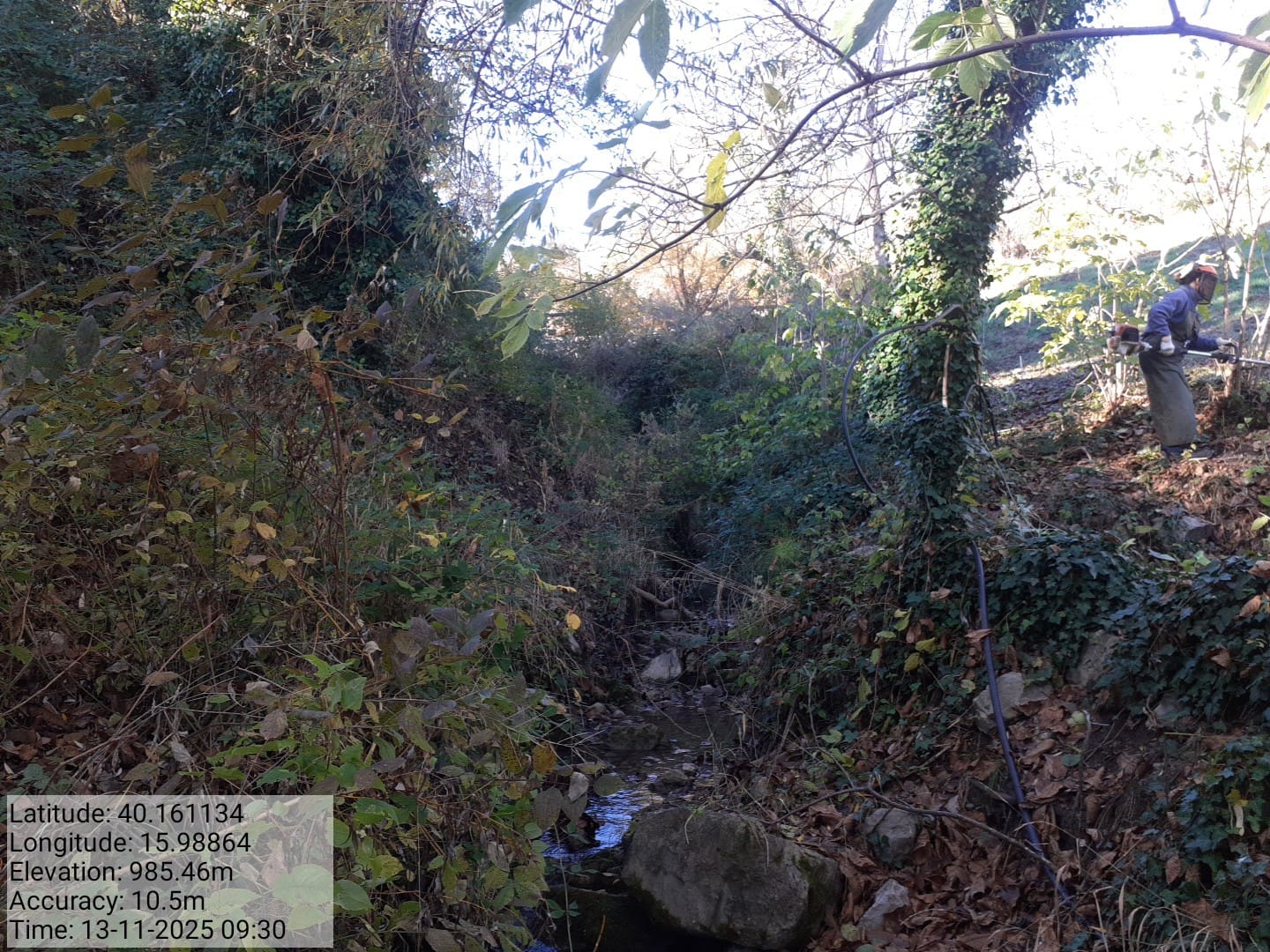 Galleria Fotografica Immagine