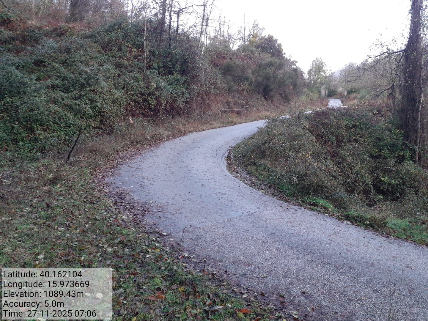 Galleria Fotografica Immagine