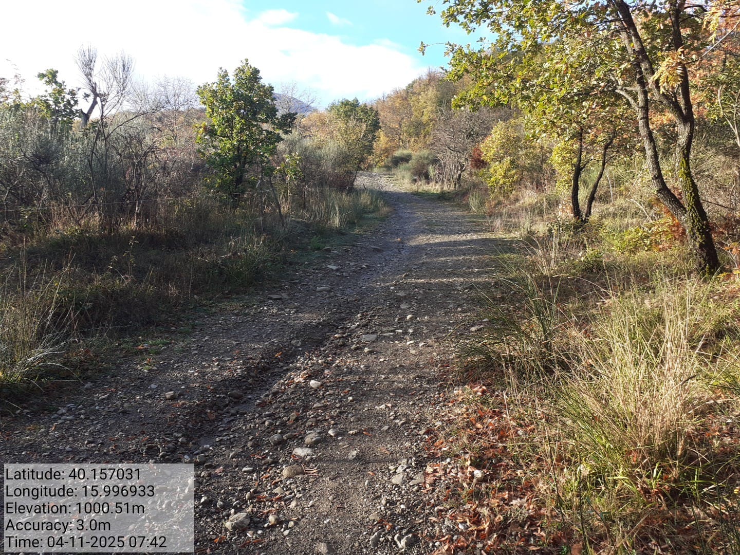 Galleria Fotografica Immagine