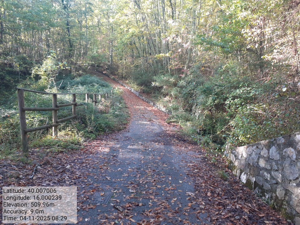 Galleria Fotografica Immagine