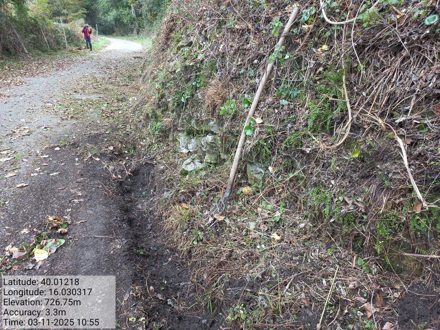 Galleria Fotografica Immagine