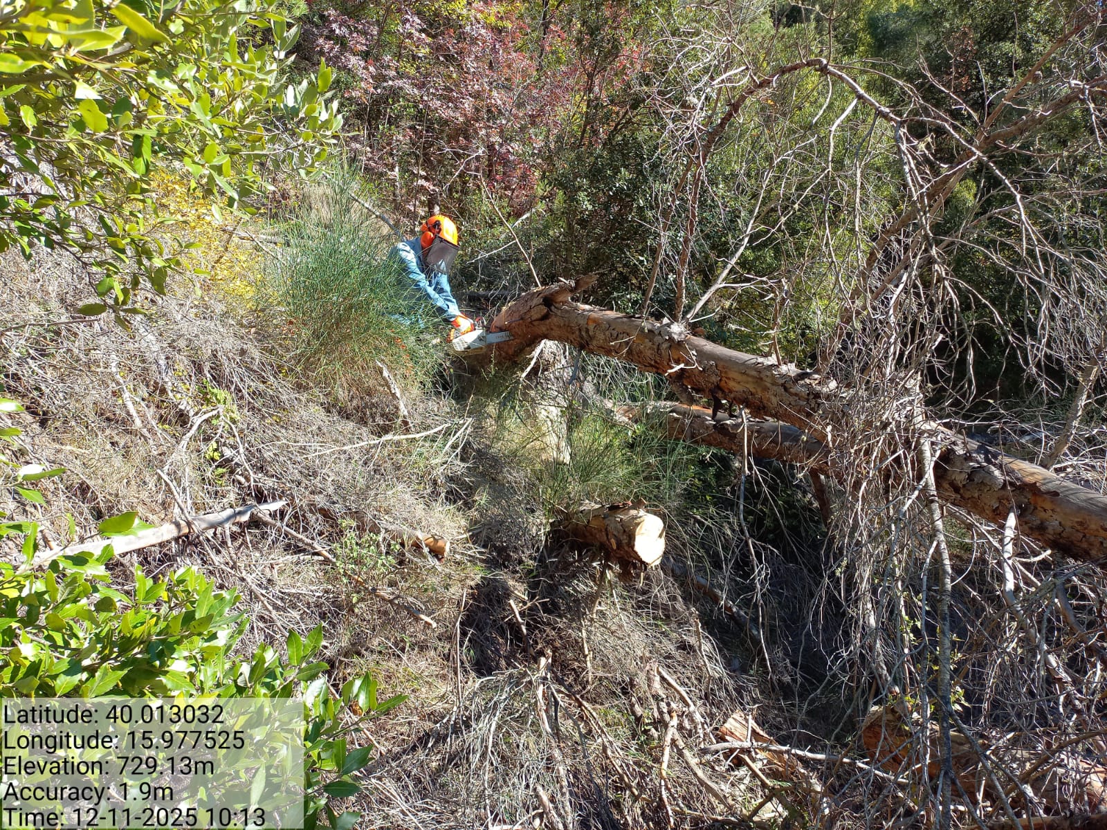 Galleria Fotografica Immagine