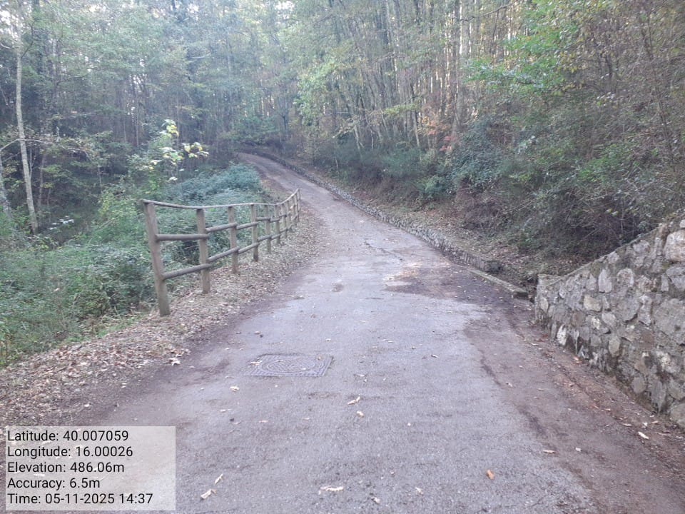 Galleria Fotografica Immagine