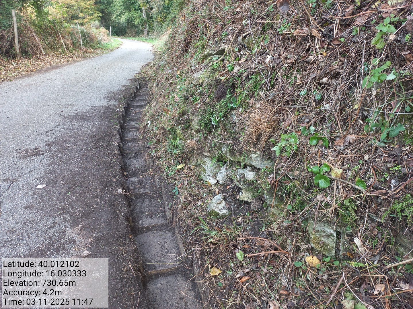 Galleria Fotografica Immagine