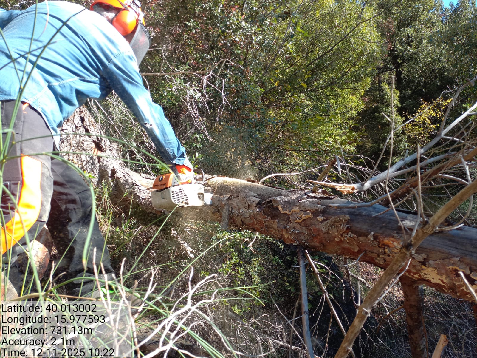 Galleria Fotografica Immagine