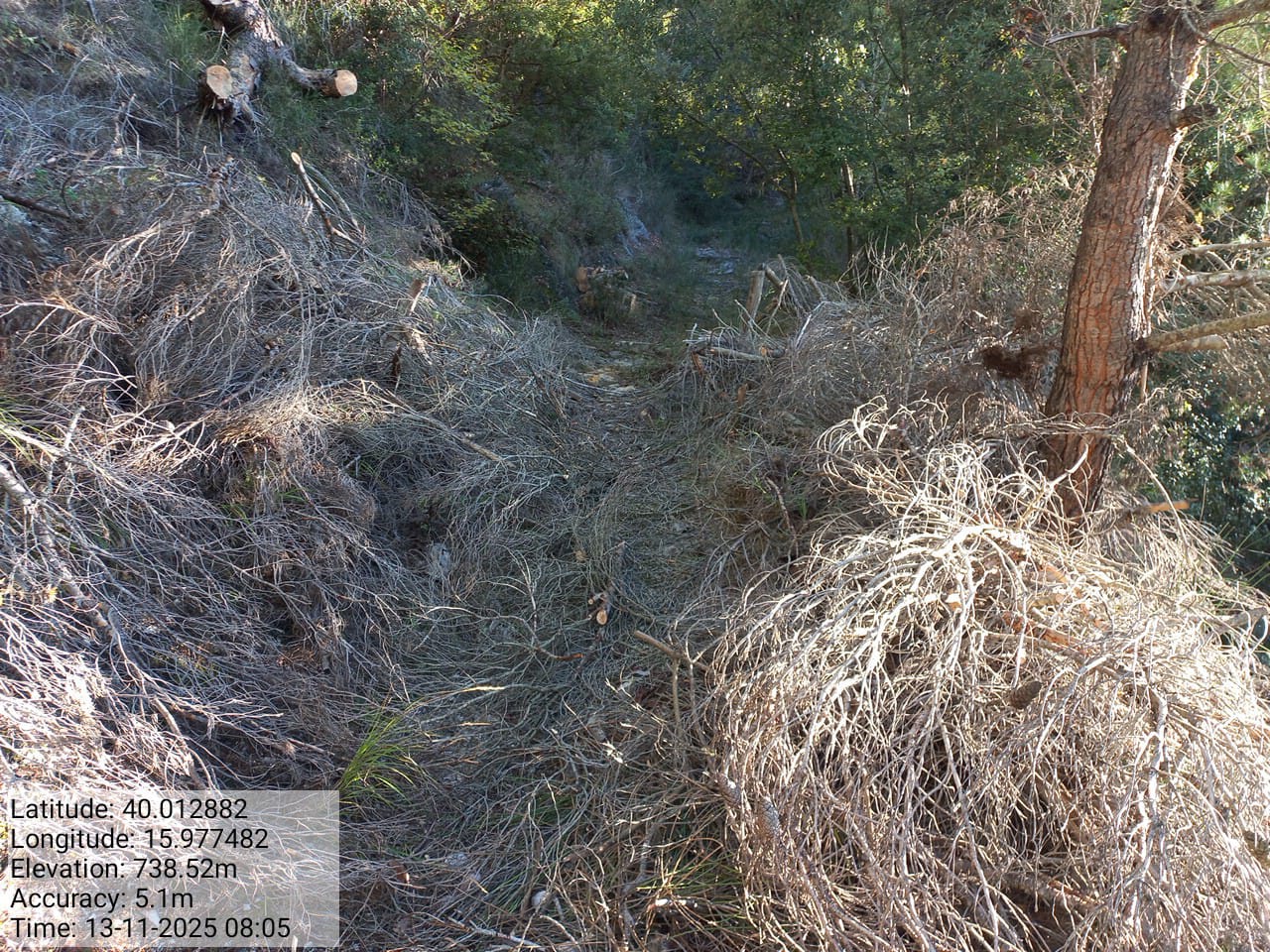 Galleria Fotografica Immagine