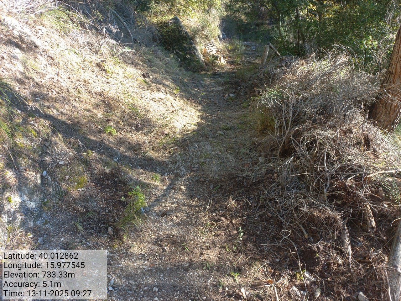 Galleria Fotografica Immagine