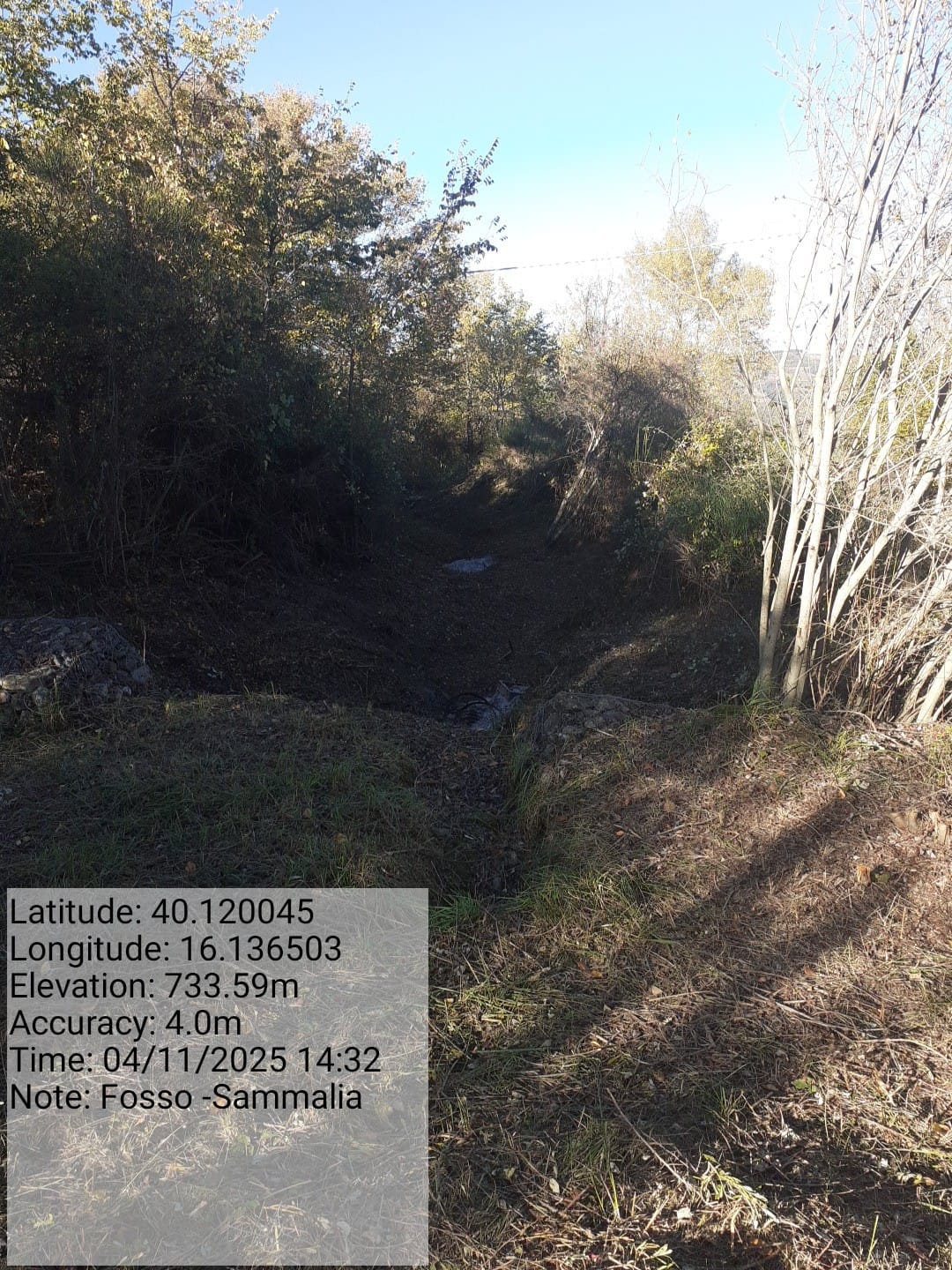 Galleria Fotografica Immagine