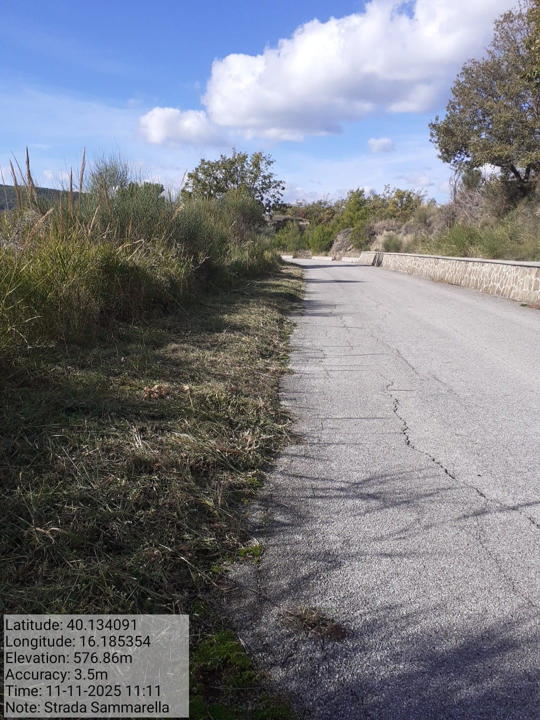 Galleria Fotografica Immagine