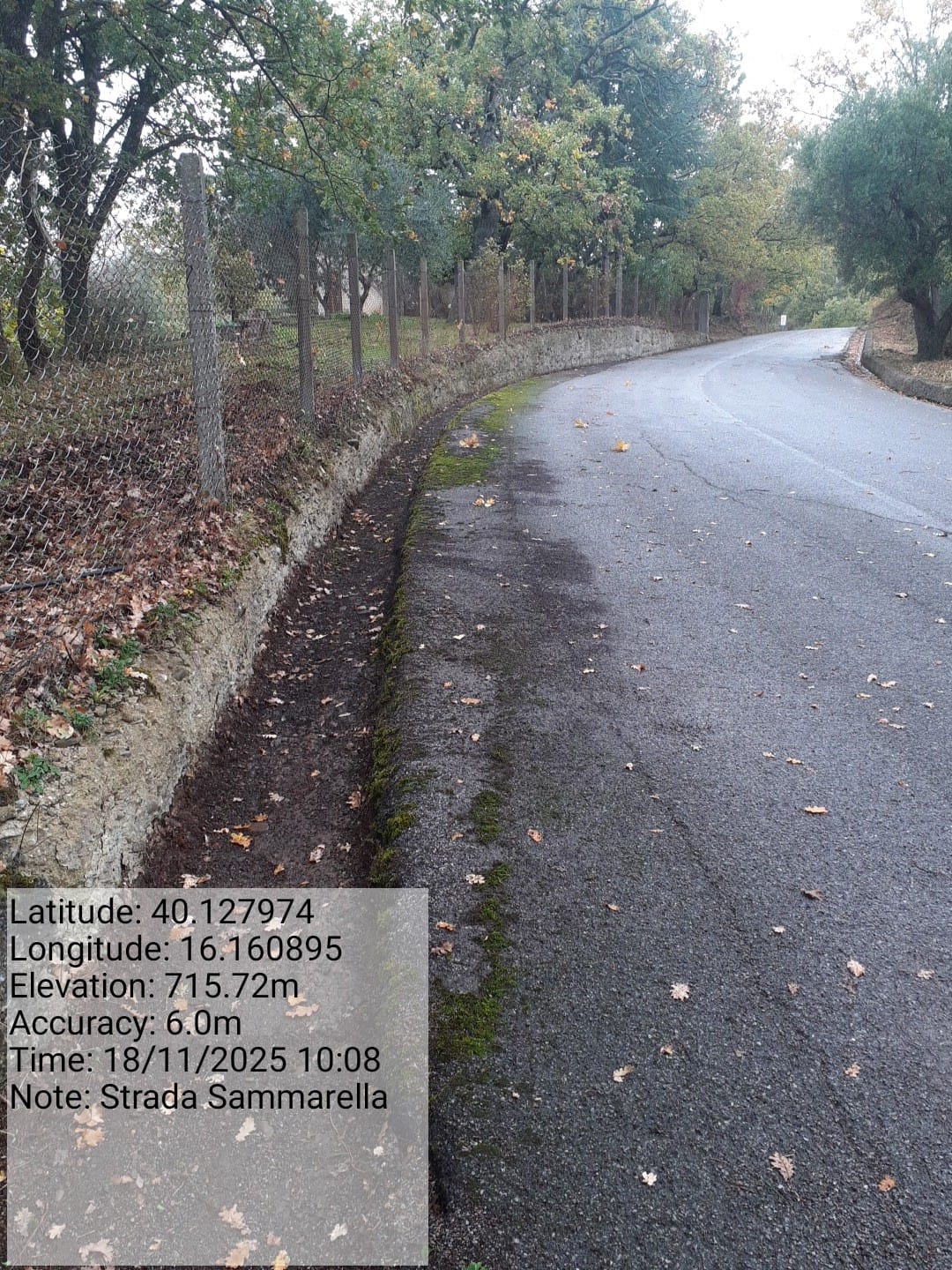 Galleria Fotografica Immagine