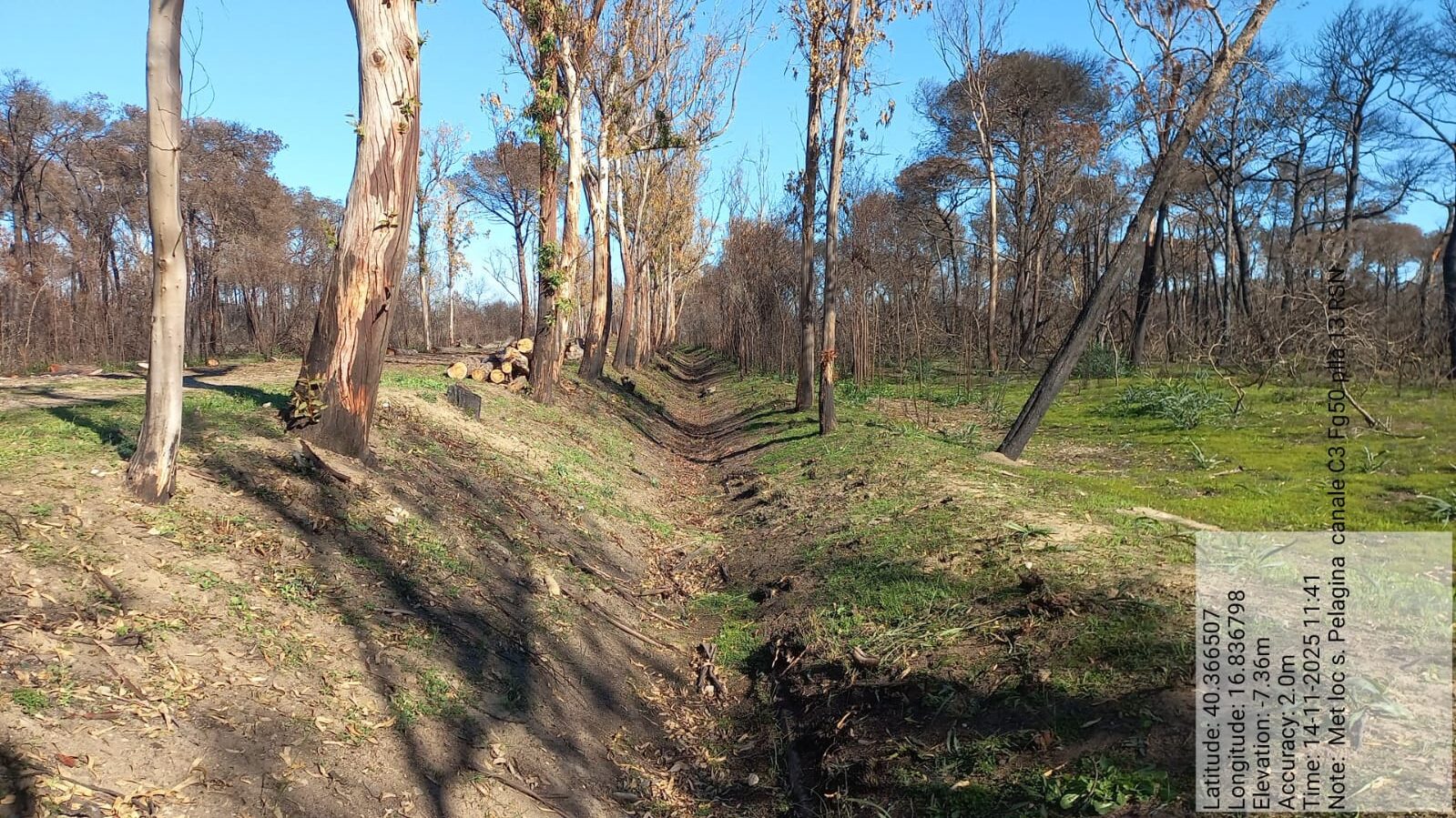 Galleria Fotografica Immagine