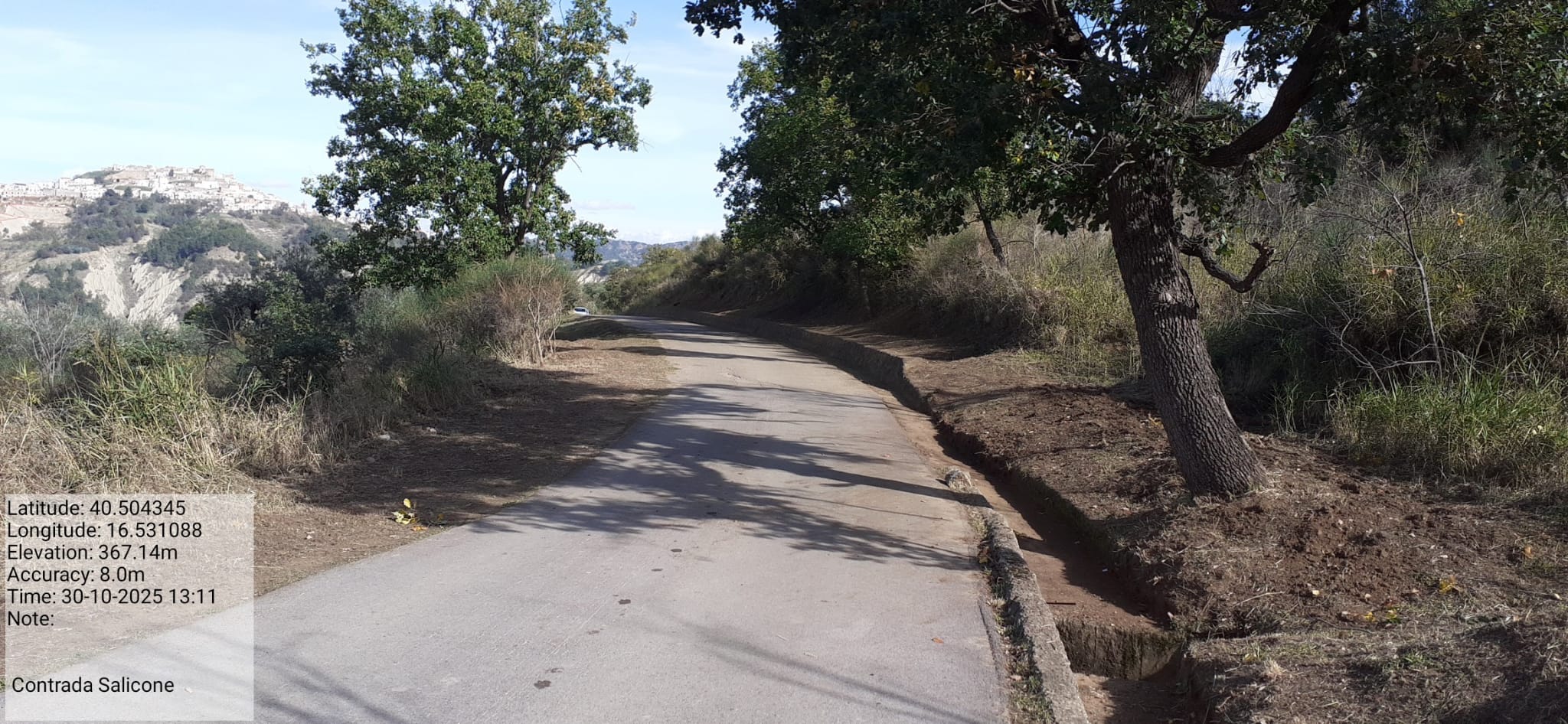 Galleria Fotografica Immagine