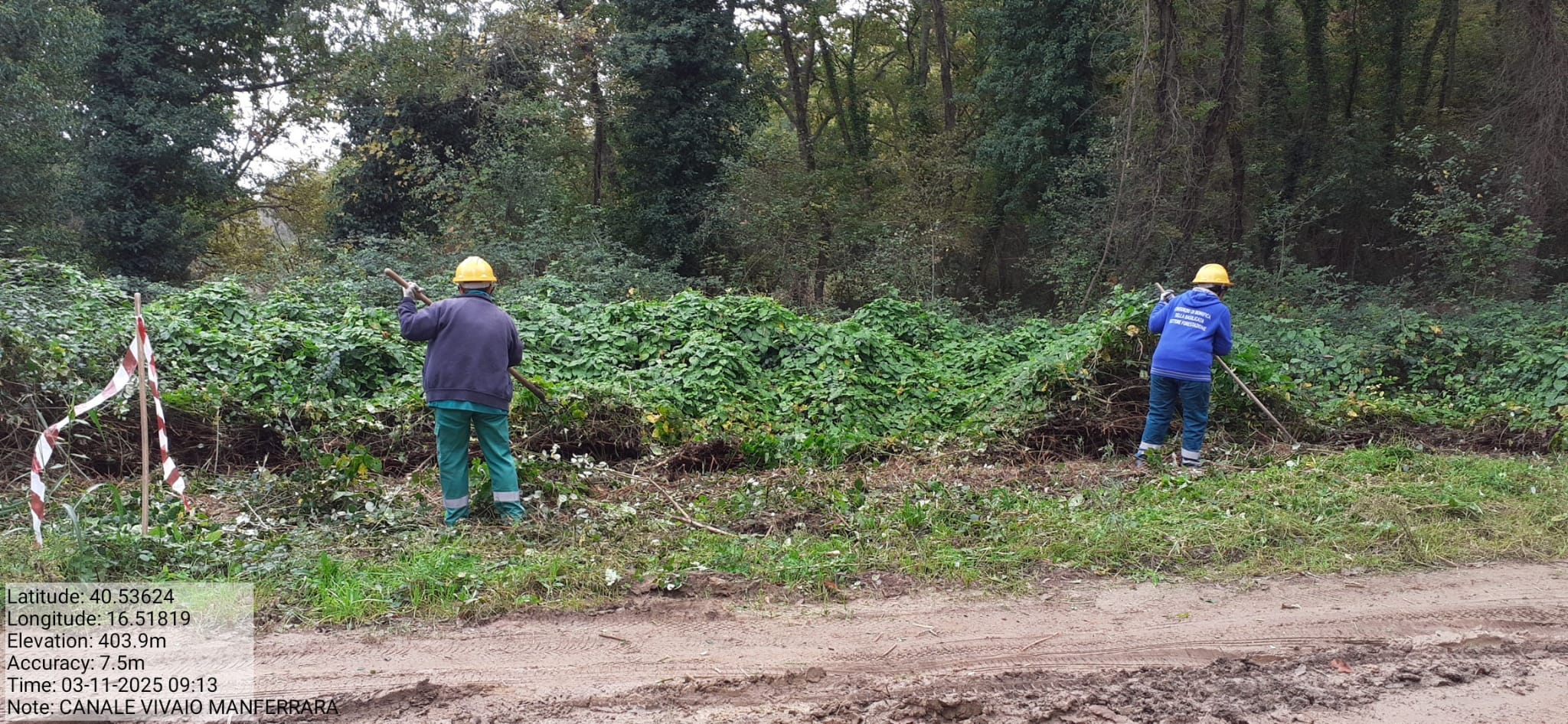 Galleria Fotografica Immagine