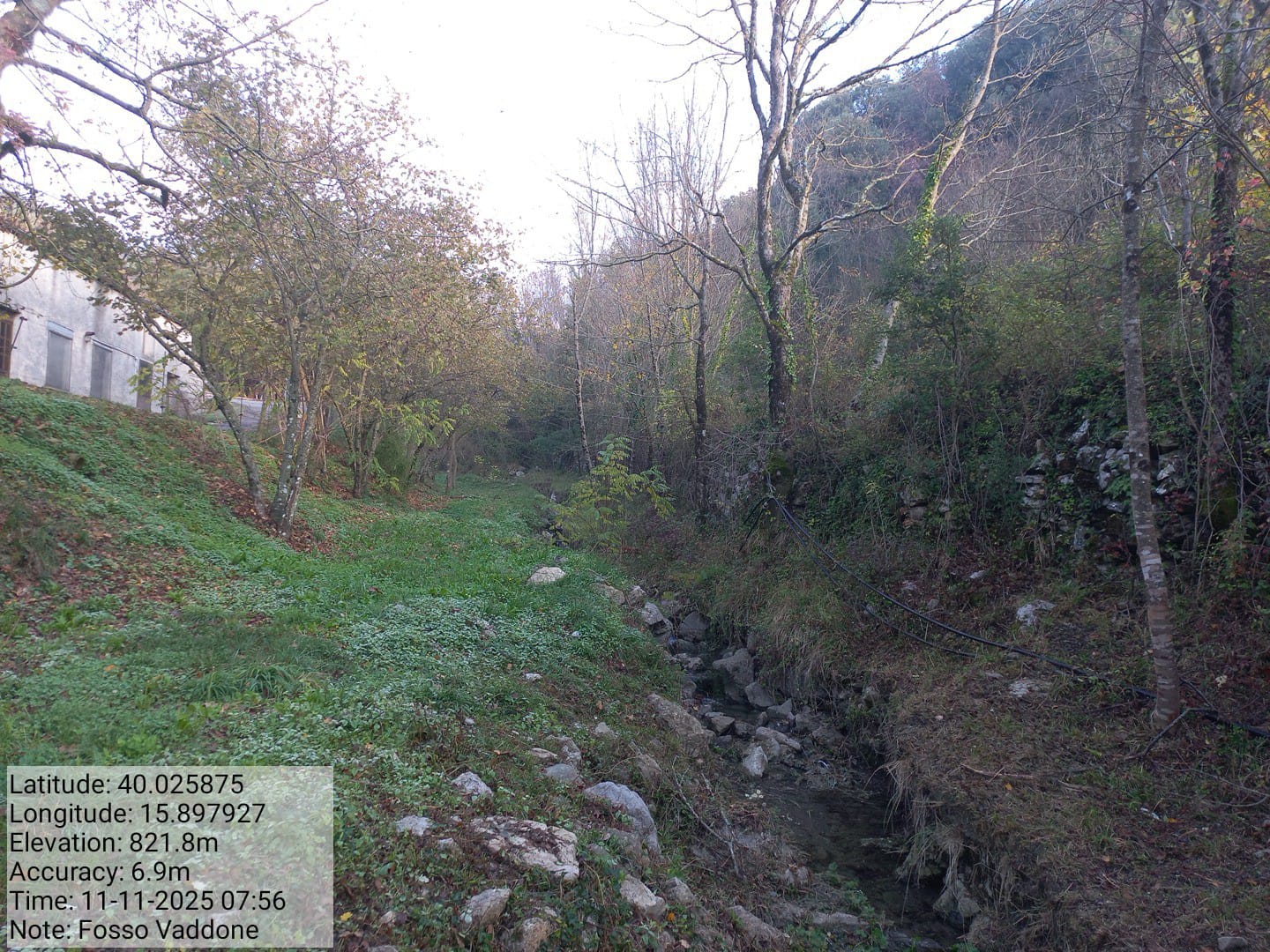 Galleria Fotografica Immagine