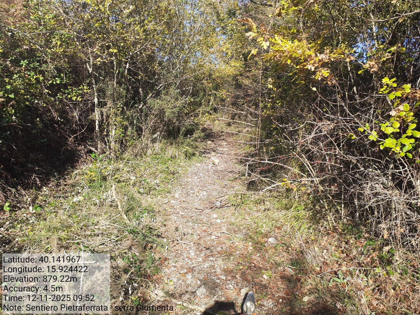 Galleria Fotografica Immagine