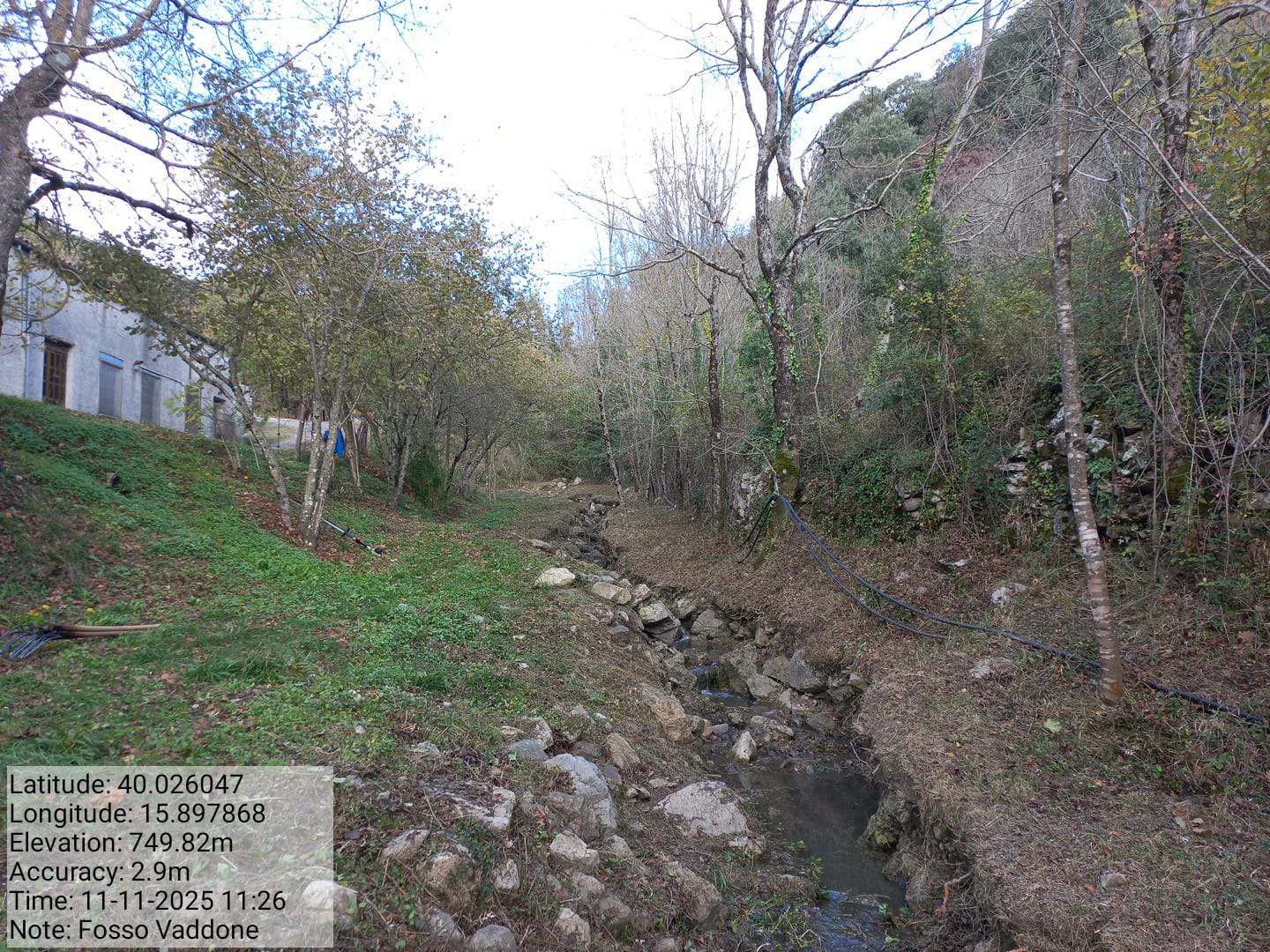 Galleria Fotografica Immagine