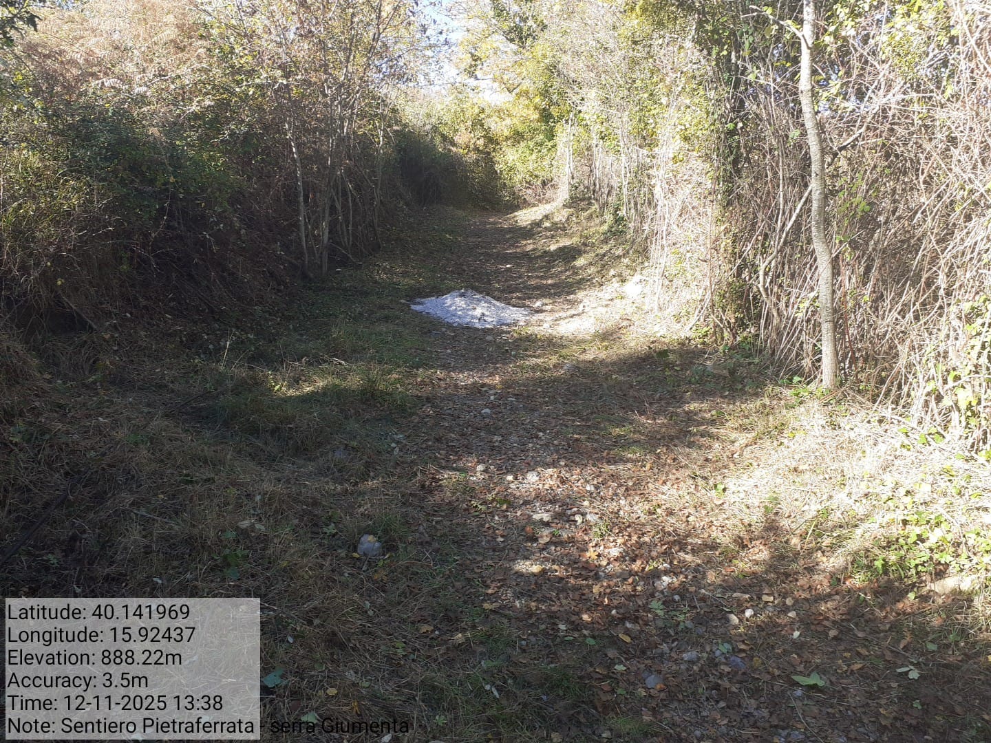 Galleria Fotografica Immagine